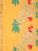 Handloom Women's Cotton Silk Saree